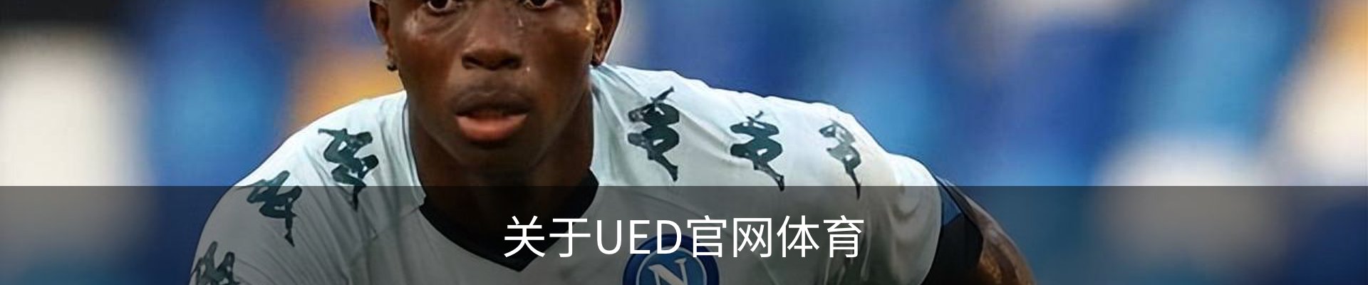 关于UED官网体育